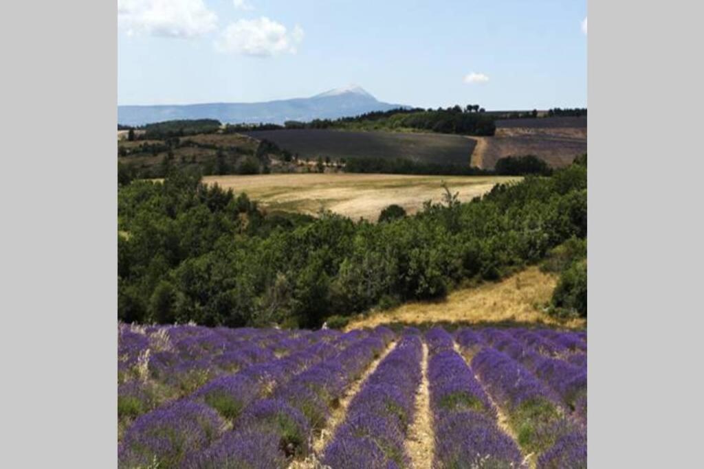 Chambre D Hotes Dans Le Vaucluse Mazan Bagian luar foto