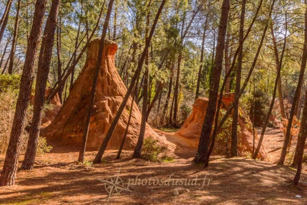 Chambre D Hotes Dans Le Vaucluse Mazan Bagian luar foto