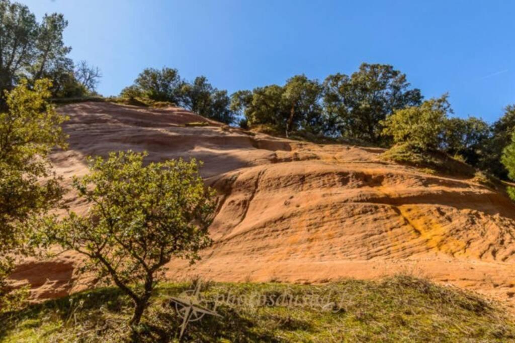 Chambre D Hotes Dans Le Vaucluse Mazan Bagian luar foto