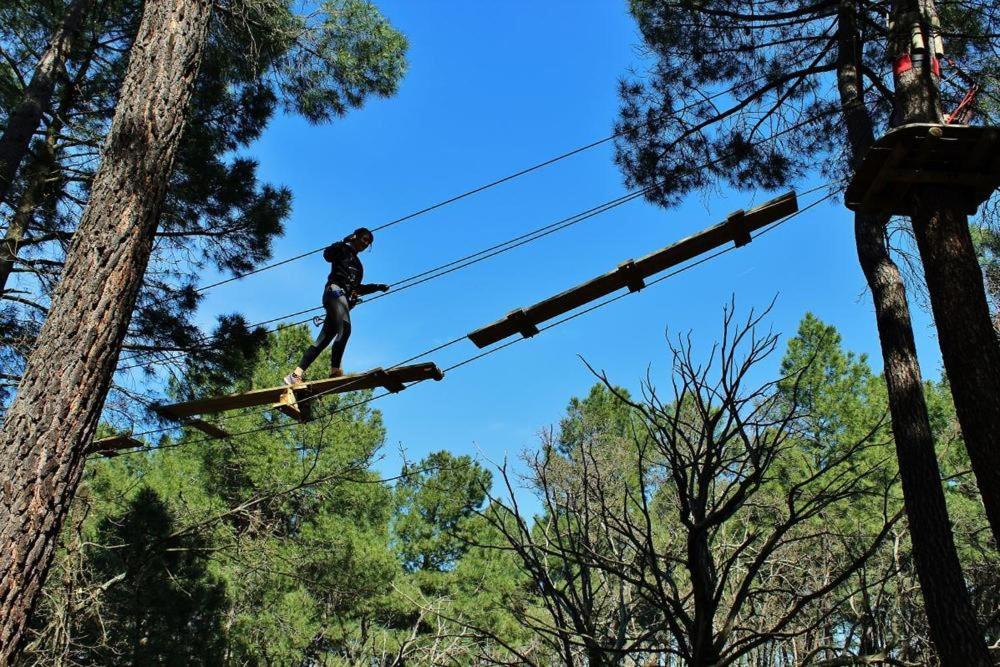 Chambre D Hotes Dans Le Vaucluse Mazan Bagian luar foto