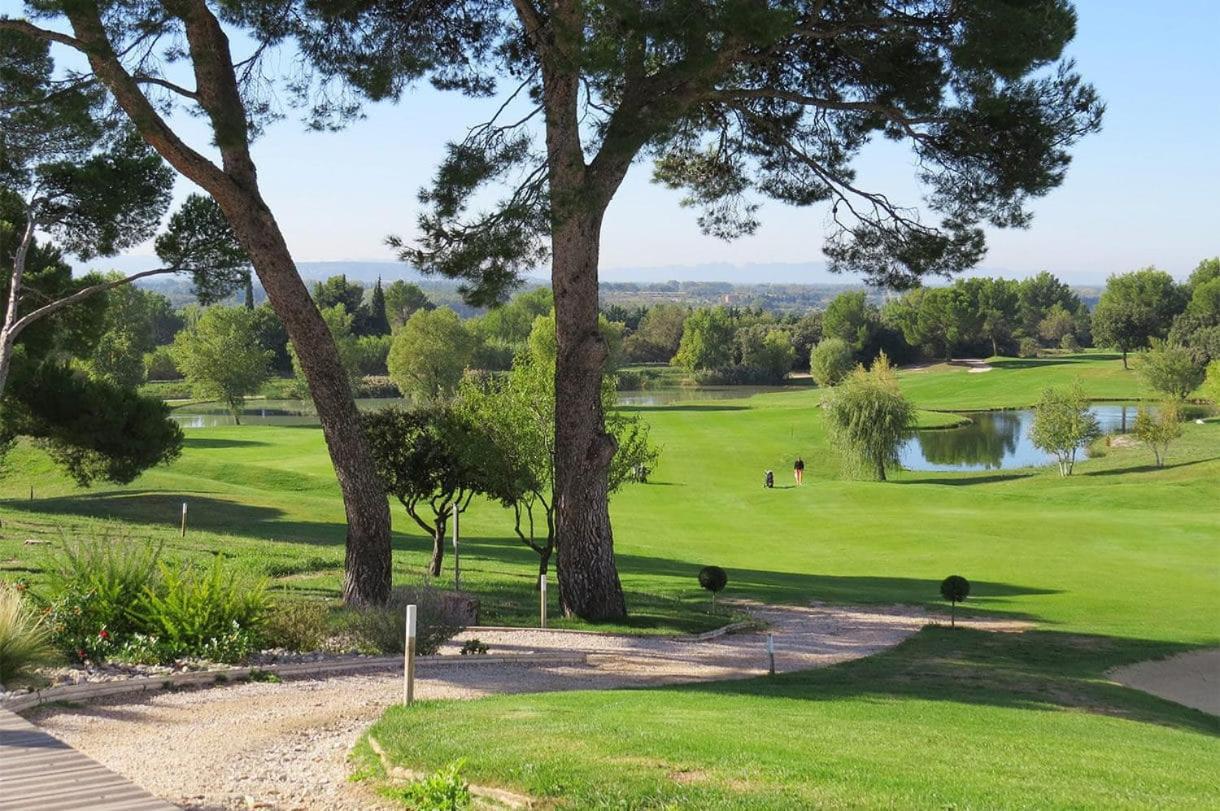 Chambre D Hotes Dans Le Vaucluse Mazan Bagian luar foto