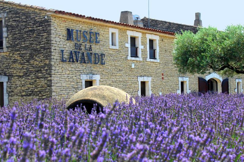 Chambre D Hotes Dans Le Vaucluse Mazan Bagian luar foto