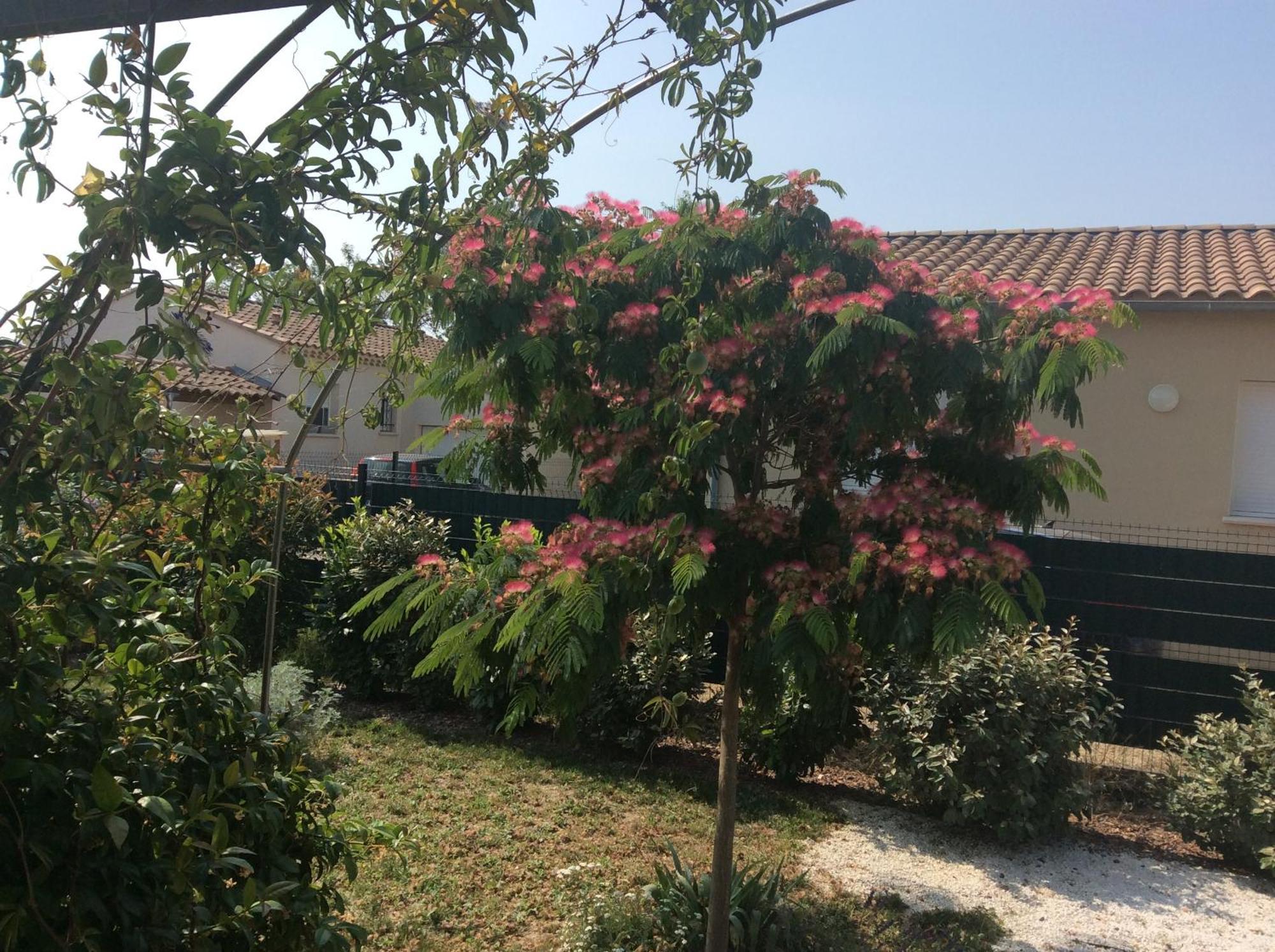 Chambre D Hotes Dans Le Vaucluse Mazan Bagian luar foto