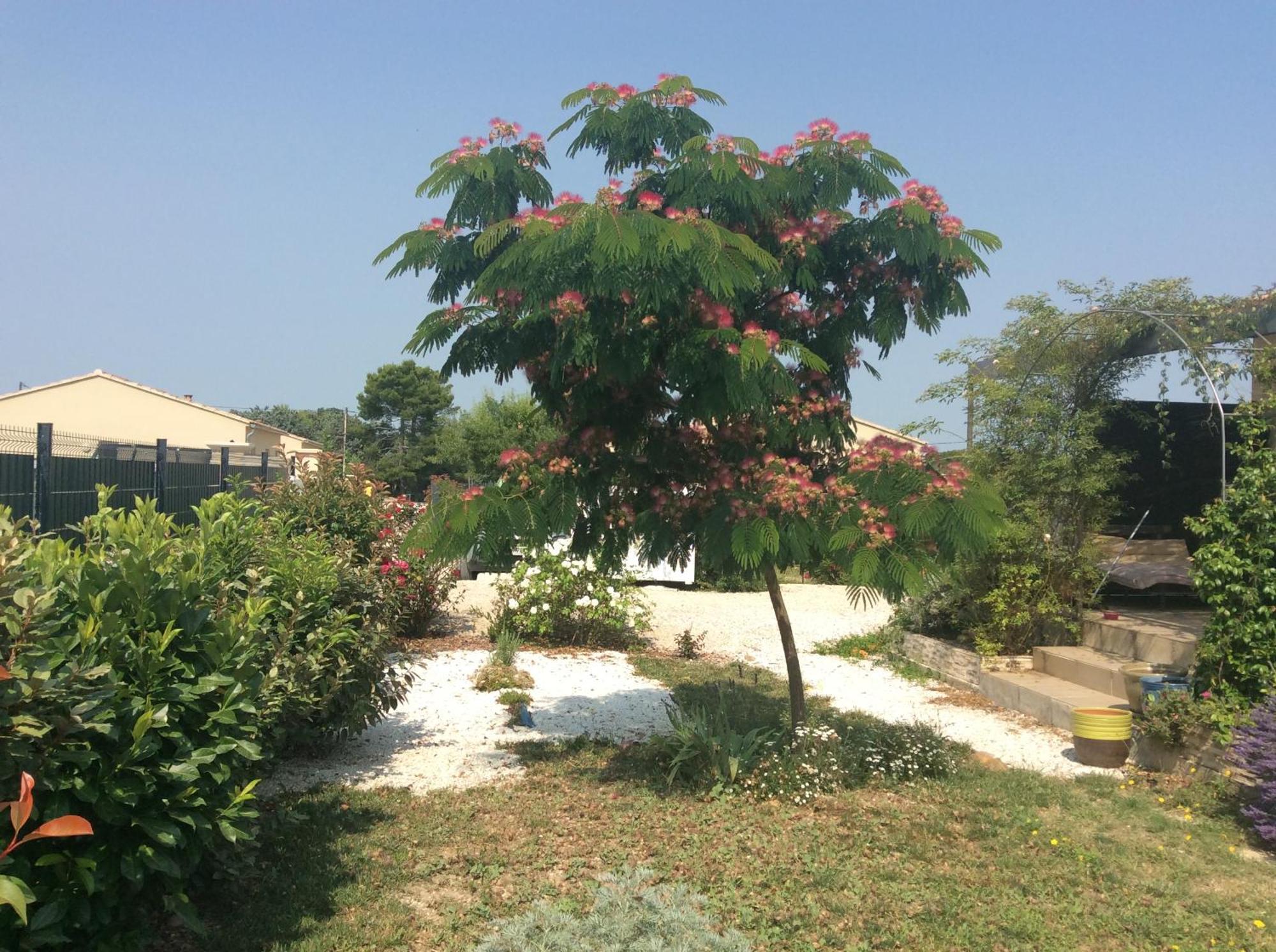Chambre D Hotes Dans Le Vaucluse Mazan Bagian luar foto